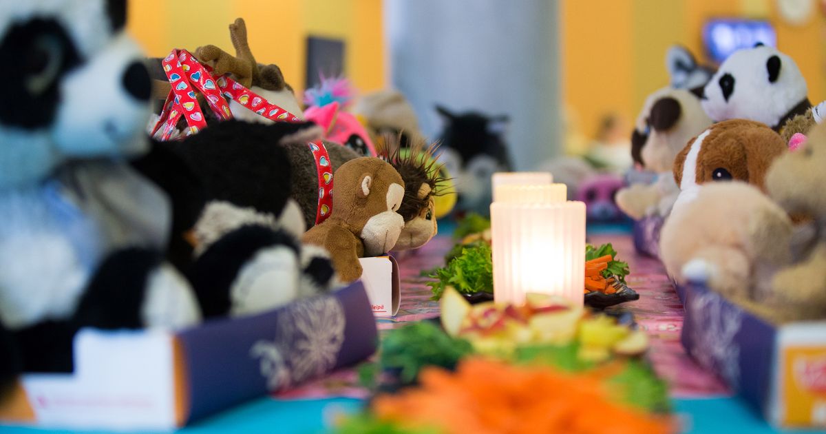 Tervetuloa lounaalle, lelukaverit!