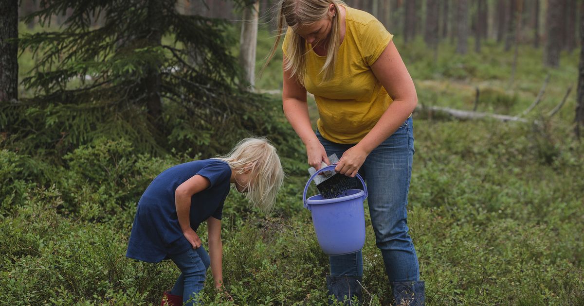 Pitkää iloa marjametsässä liikkumisesta